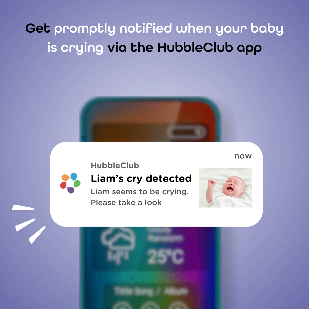Hubble AI Vision FlexPay