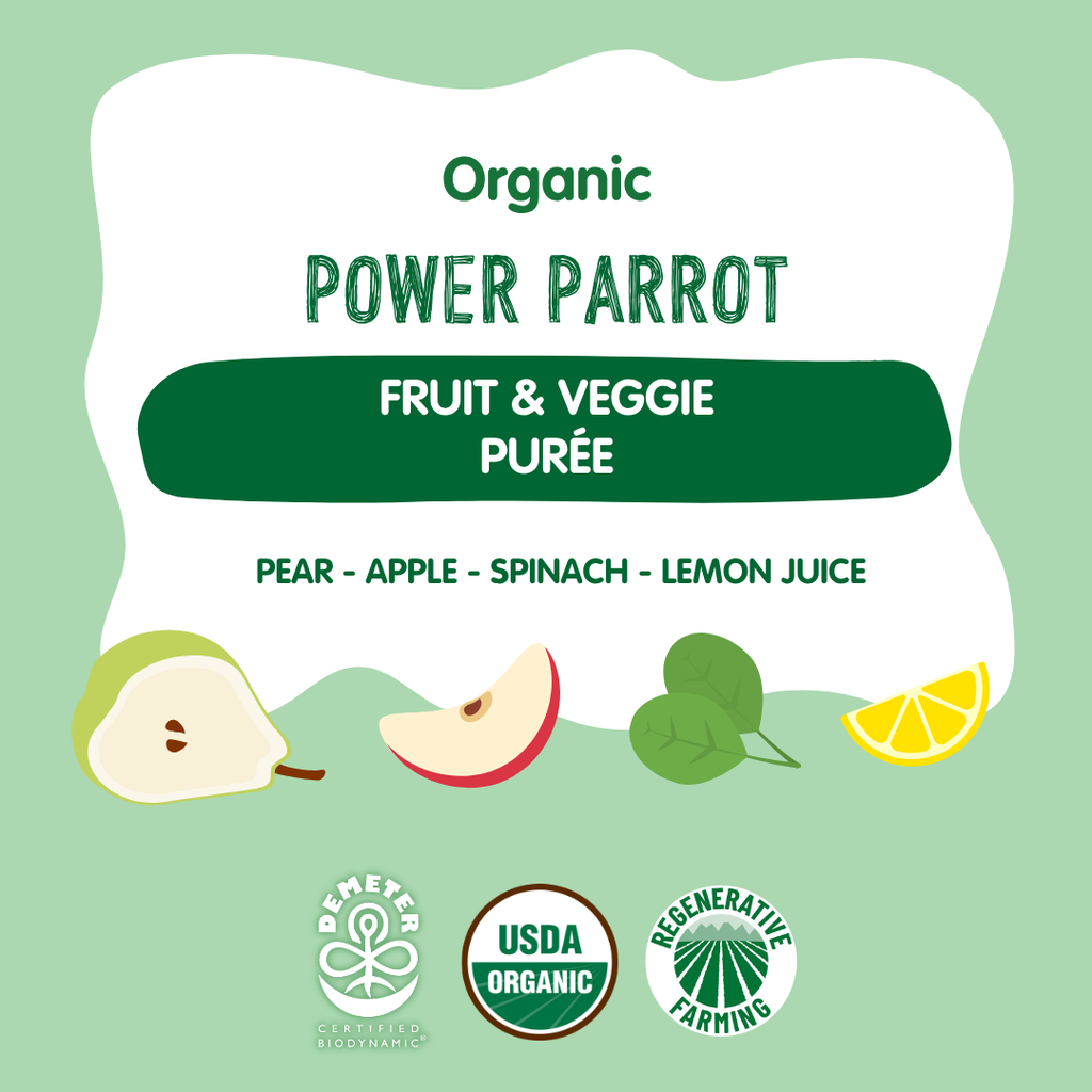 Holle Baby Food Pouches - Organic Fruit & Veggie Puree - Power Parrot